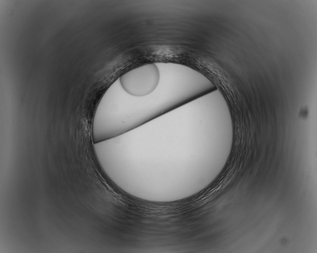 X0000098040467200804181301