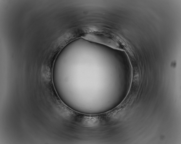 X0000098040469200804181301