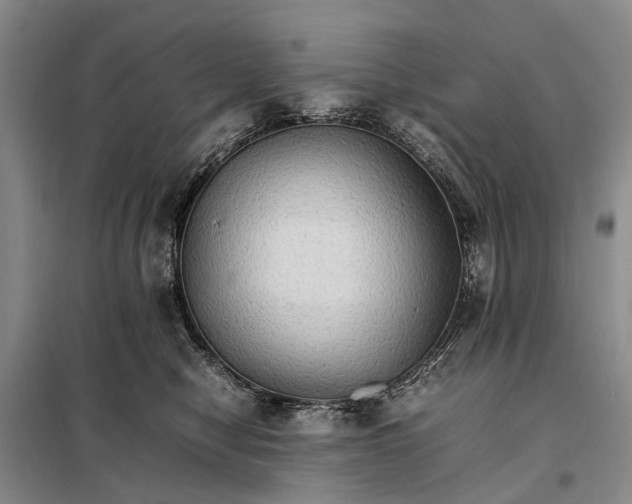 X0000098040470200804181301