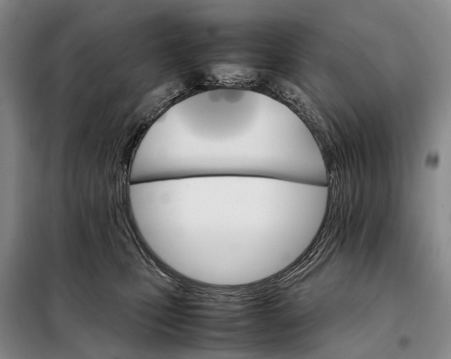 X0000098040471200804181301