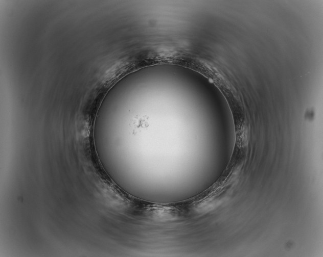 X0000098040472200804181301