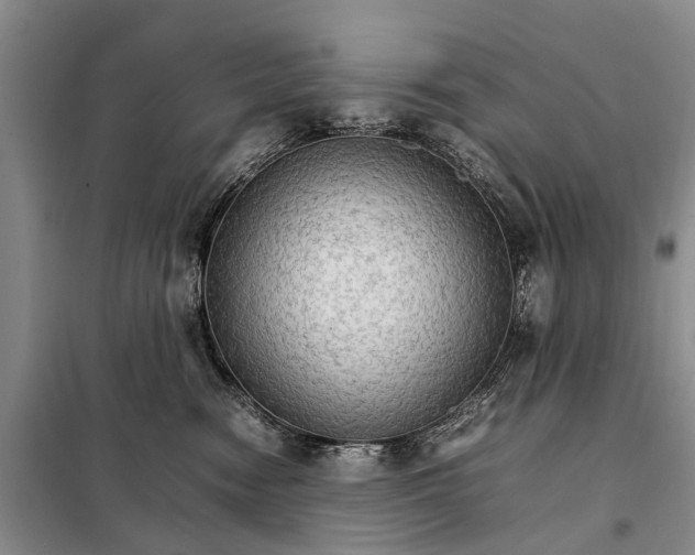 X0000098040474200804181301