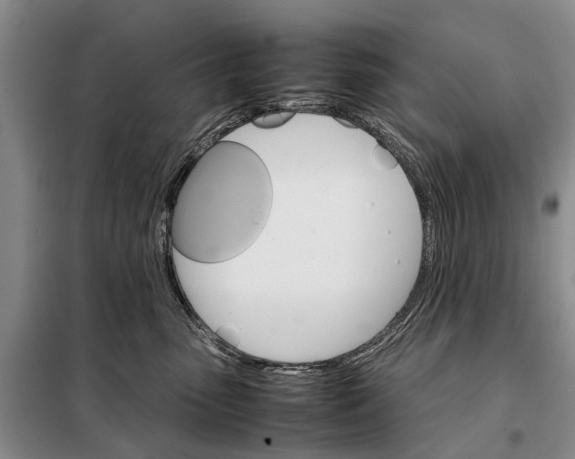 X0000098040475200804181301