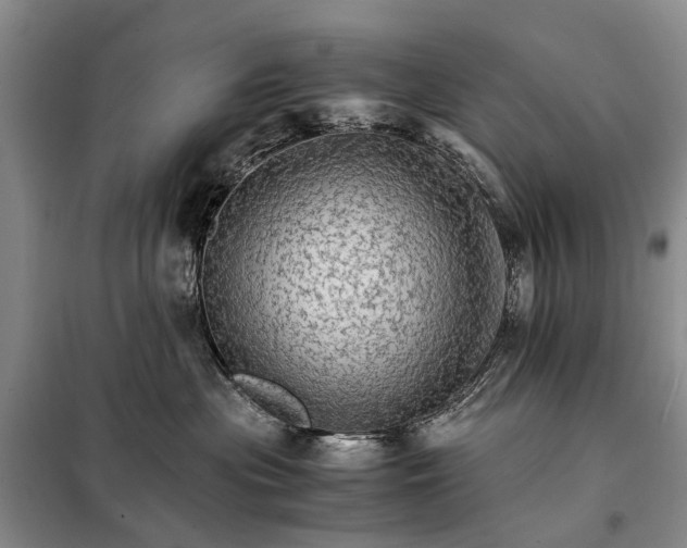 X0000098040477200804181301