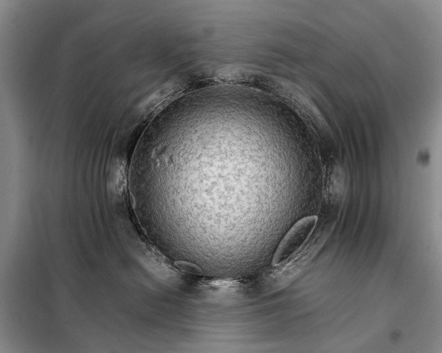 X0000098040478200804181301