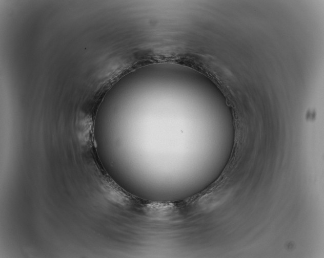 X0000098040480200804181301