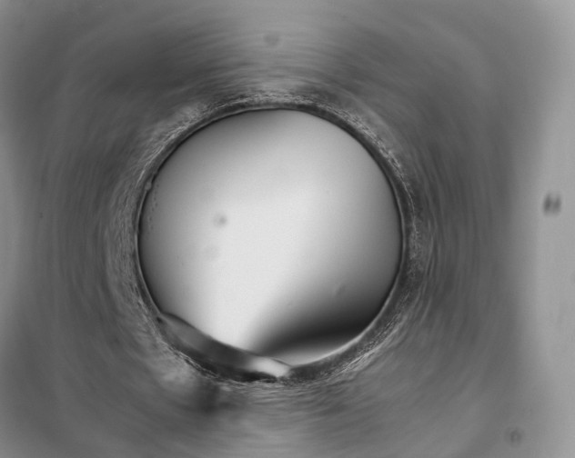 X0000098040481200804181300