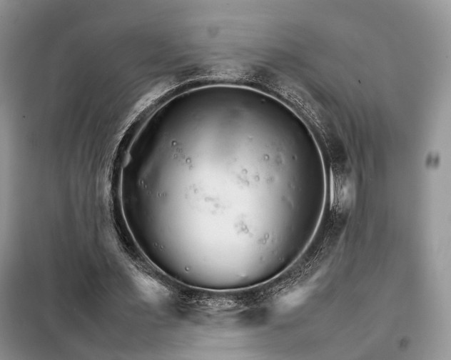 X0000098040483200804181300