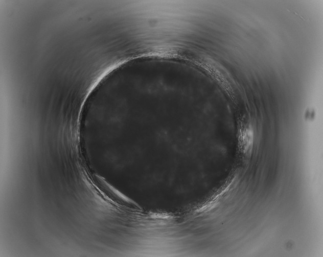 X0000098040484200804181300