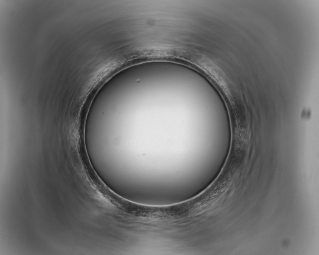 X0000098040485200804181300