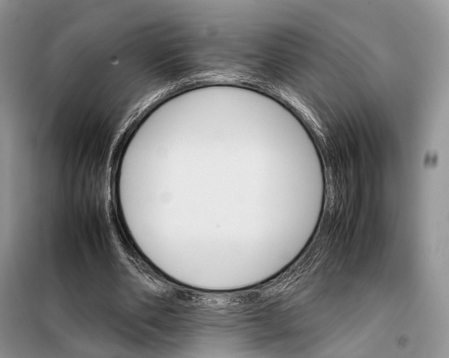 X0000098040486200804181300