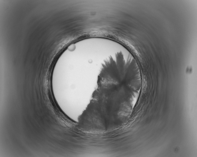 X0000098040487200804181300