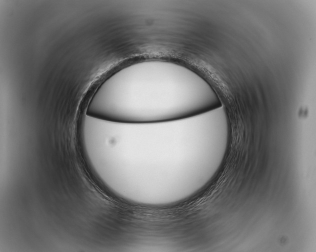 X0000098040488200804181300