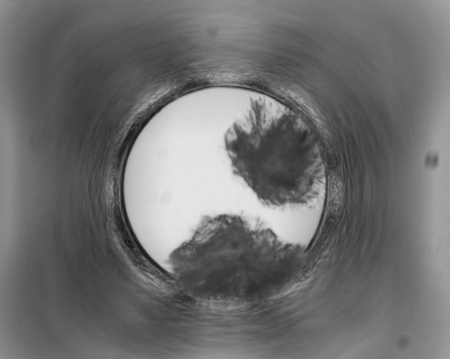 X0000098040491200804181300