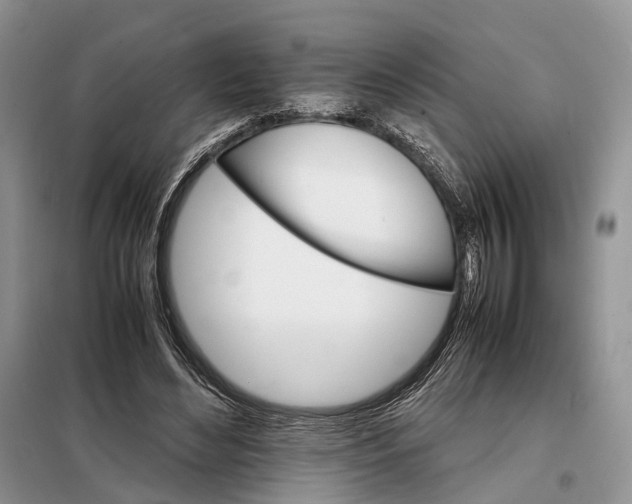 X0000098040492200804181300