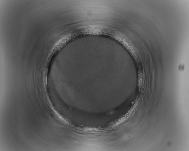 X0000098040493200804181300