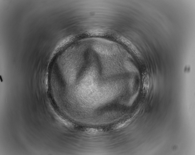 X0000098040494200804181300