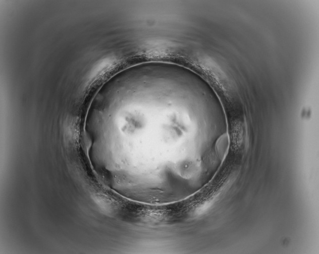 X0000098040495200804181300