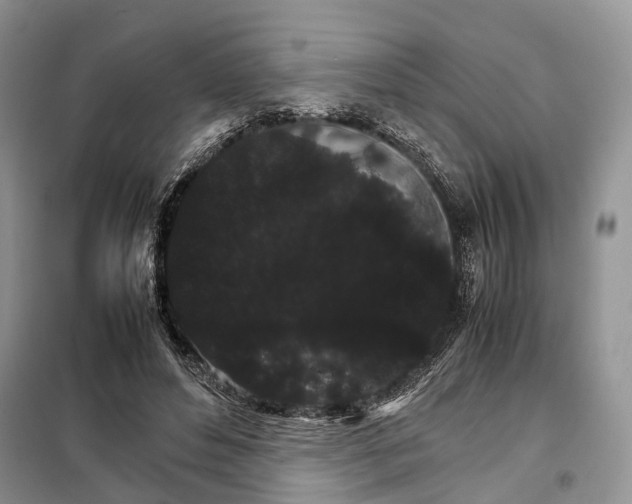 X0000098040496200804181300