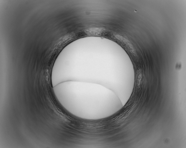 X0000098040498200804181300