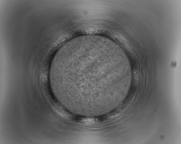 X0000098040499200804181300