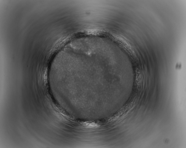 X0000098040502200804181300