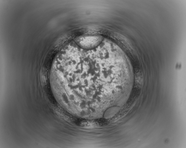 X0000098040503200804181300