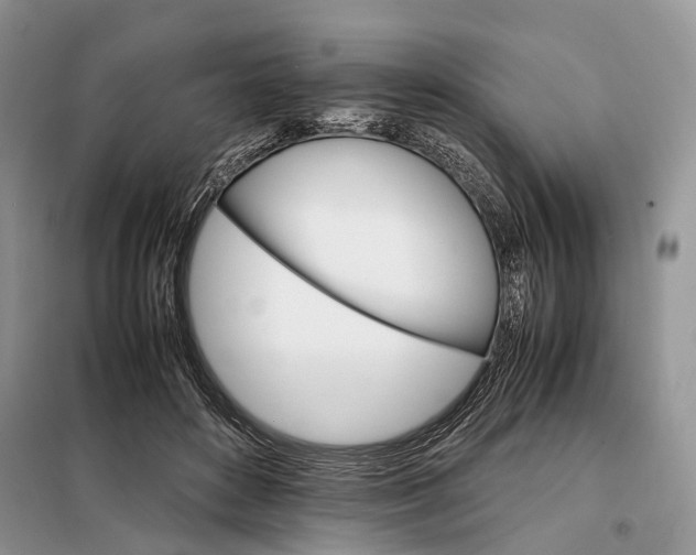 X0000098040504200804181300