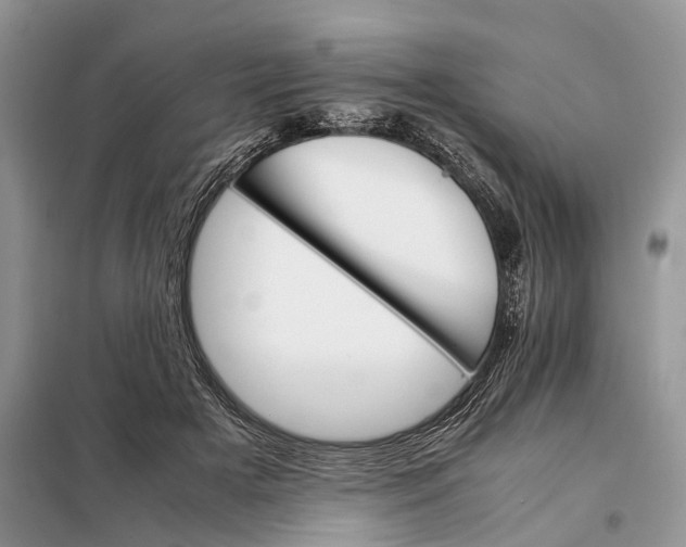 X0000098040505200804181300