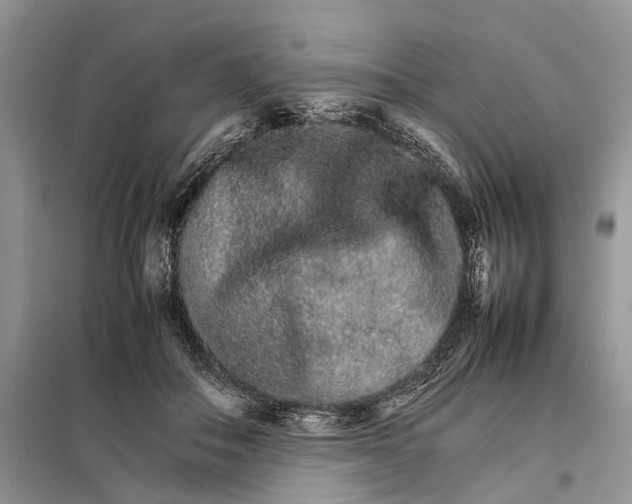 X0000098040506200804181300