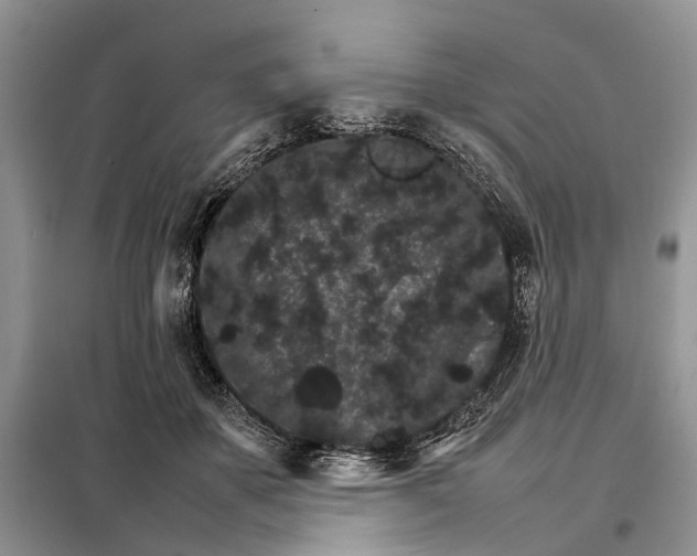 X0000098040507200804181300