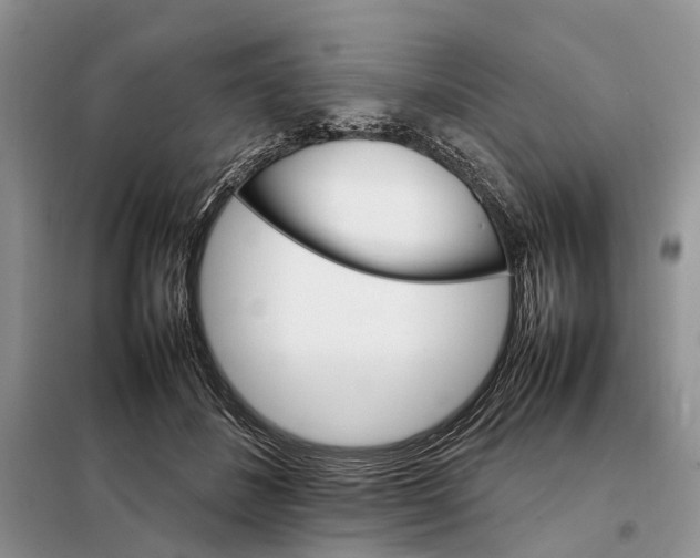 X0000098040508200804181300