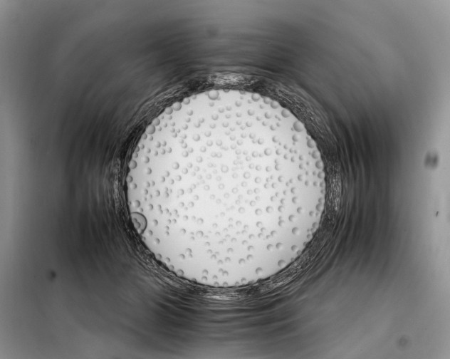 X0000098040510200804181300