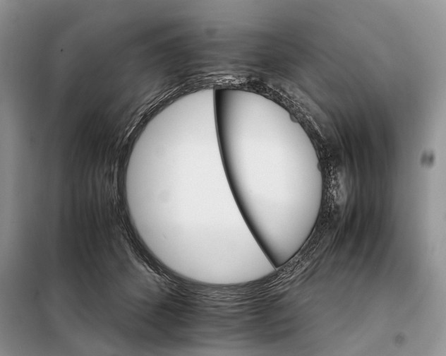 X0000098040512200804181300