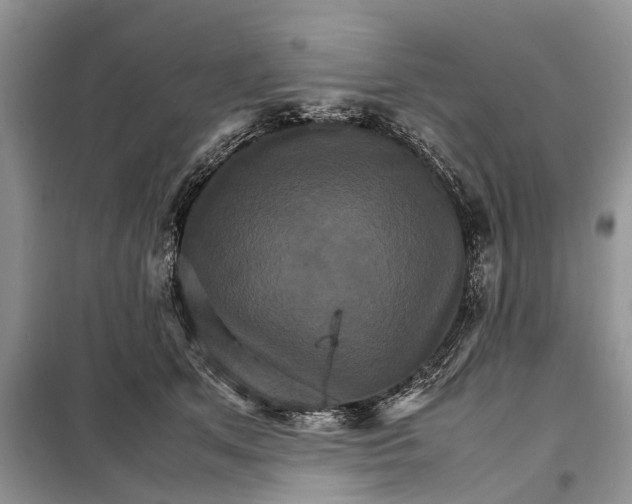 X0000098040513200804181300