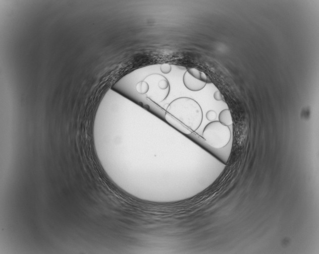 X0000098040515200804181300