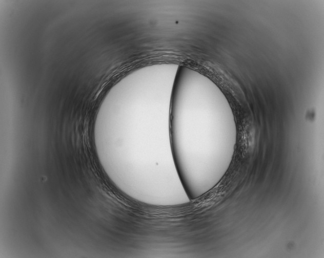 X0000098040516200804181300