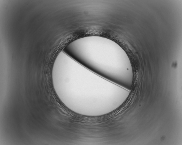 X0000098040517200804181300