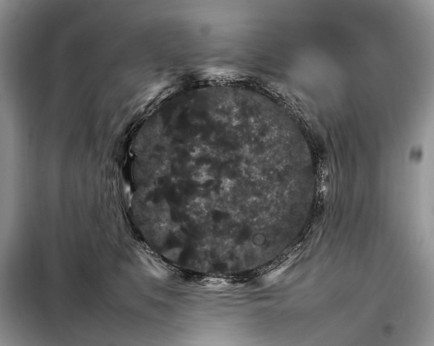 X0000098040519200804181300