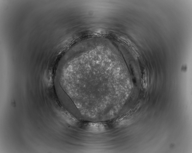 X0000098040520200804181300