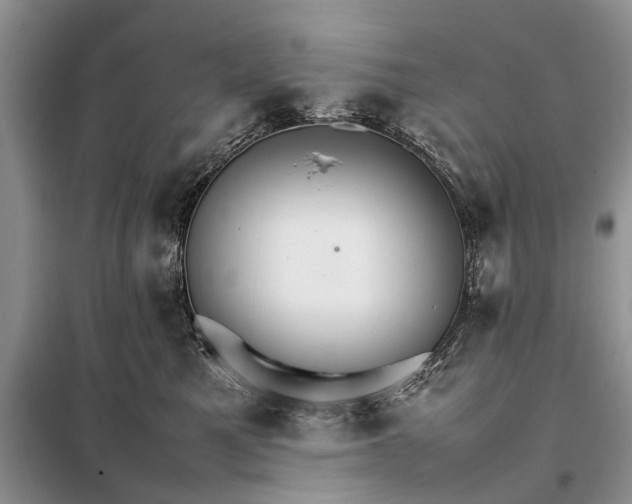 X0000098040521200804181300