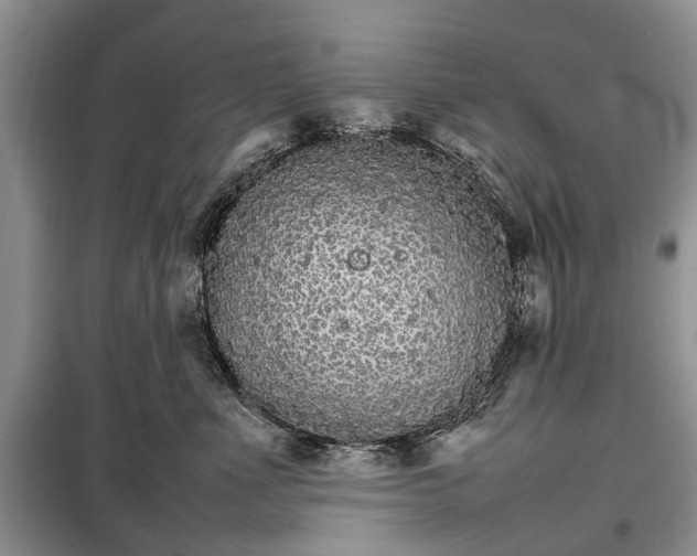 X0000098040523200804181300