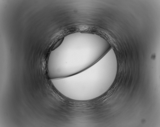 X0000098040524200804181300