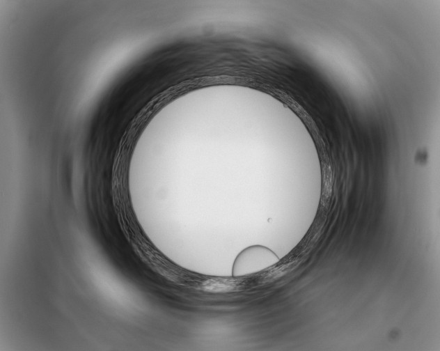 X0000098040526200804181300