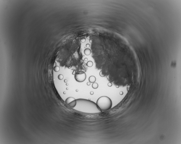 X0000098040527200804181300