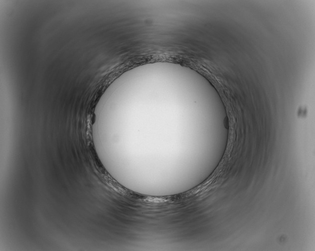 X0000098040528200804181259