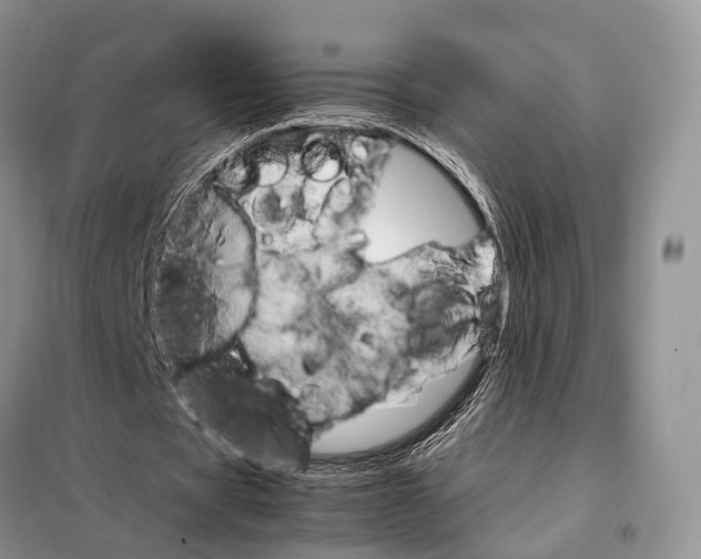 X0000098040529200804181258