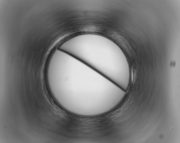 X0000098040531200804181259