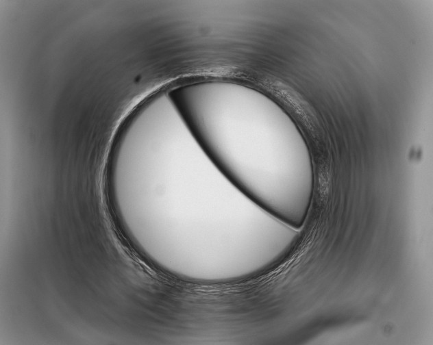 X0000098040532200804181259