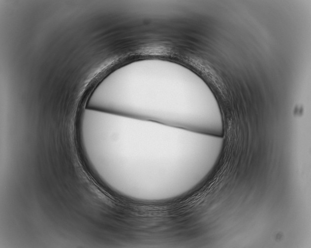 X0000098040535200804181259